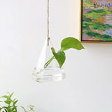 Ensemble de terrarium mural en verre - 3 pièces