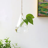 Ensemble de terrarium mural en verre - 3 pièces