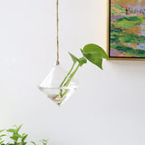 Ensemble de terrarium mural en verre - 3 pièces