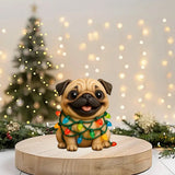🎄🐾 Charmant Calendrier de Noël 2025 pour Carlin