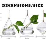 Ensemble de terrarium mural en verre - 3 pièces