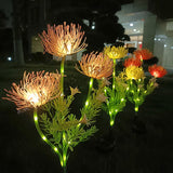 Enchanting Fairy Flowers