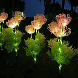 Enchanting Fairy Flowers
