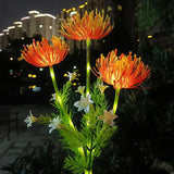 Enchanting Fairy Flowers