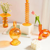 Artistic Hydroponic Vase