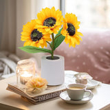 Radiant Sunflower