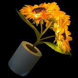 Radiant Sunflower