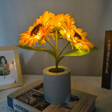 Radiant Sunflower