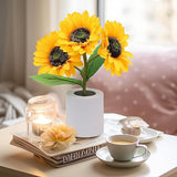 Radiant Sunflower
