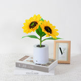 Radiant Sunflower