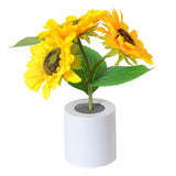 Radiant Sunflower