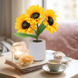 Radiant Sunflower