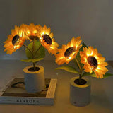 Radiant Sunflower