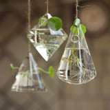 Ensemble de terrarium mural en verre - 3 pièces