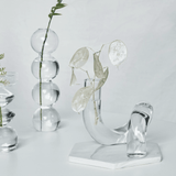 Artistic Hydroponic Vase