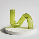 Artistic Hydroponic Vase