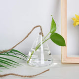 Ensemble de terrarium mural en verre - 3 pièces