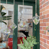 Ensemble de terrarium mural en verre - 3 pièces