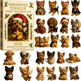 🎄 Calendrier de l'Avent 2025 : Cadeau de Noël ludique pour chiens