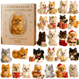 🎄 Calendrier de l'Avent 2025 : Cadeau de Noël ludique pour chiens