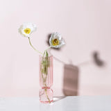 Vases en verre à couleur inversée