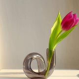 Artistic Hydroponic Vase