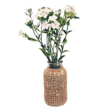 Vase avec une paille