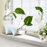 Ensemble de terrarium mural en verre - 3 pièces